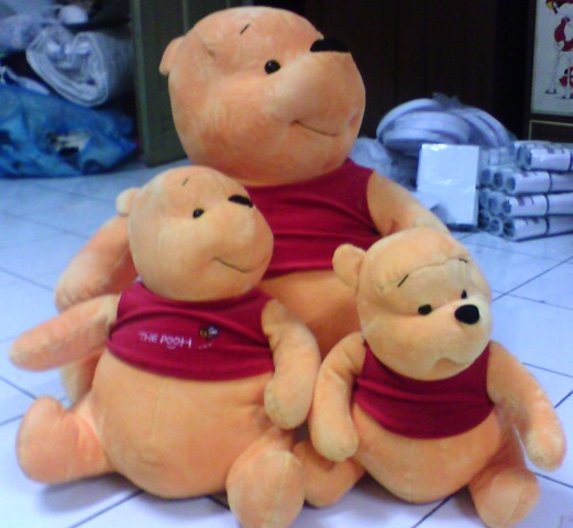 [the pooh[4].jpg]